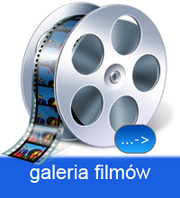 <h2>GALERIA FILMÓW</h2>